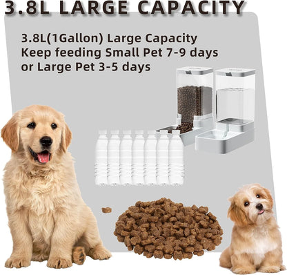 Automatic Pet Feeder & Water Dispenser