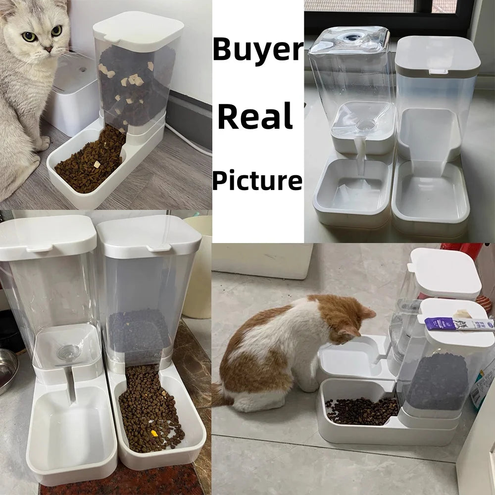 Automatic Pet Feeder & Water Dispenser