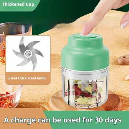 Electric Mini Food Chopper