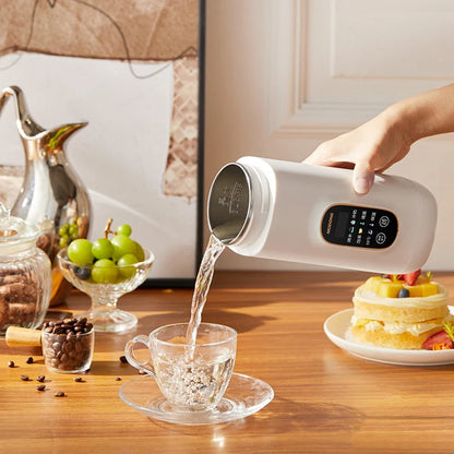 Electric Portable Kettle