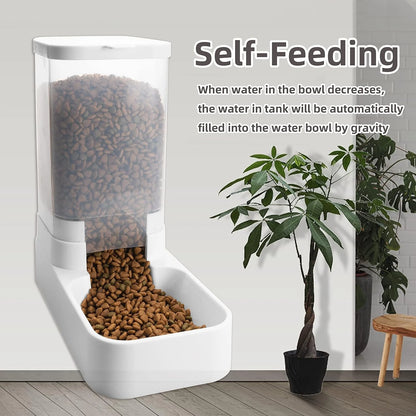 Automatic Pet Feeder & Water Dispenser