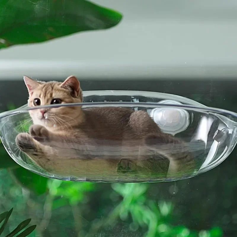 Sunbeam™ Cat Perch